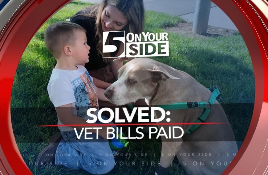 After an Amazon delivery, an NC dog was left fighting for her life