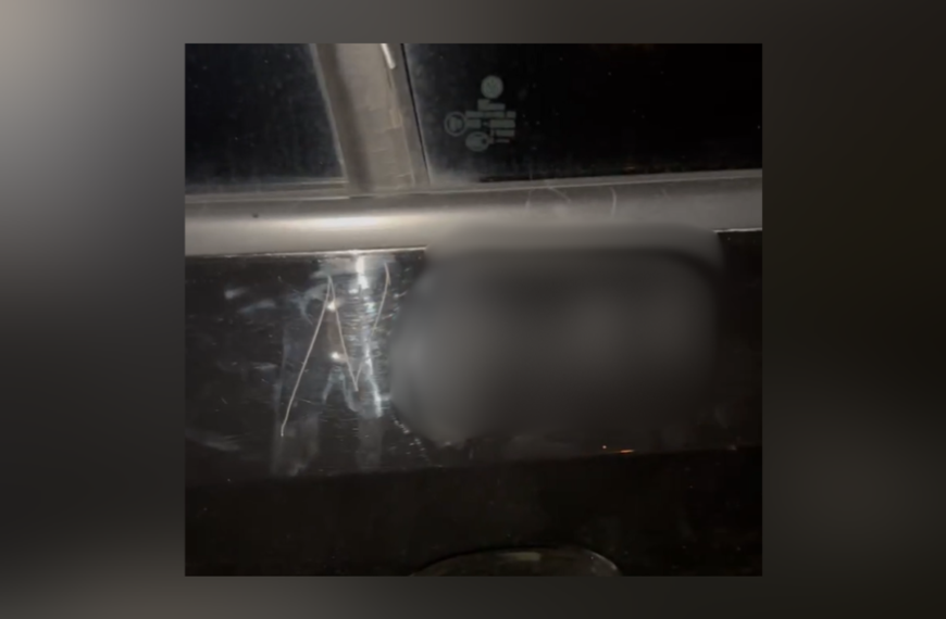 Nash County Sheriff’s Office investigates car vandalism