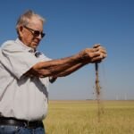 Kansas farmers pulled by weather extremes and growing costs, wheat crop could be worst since 1972