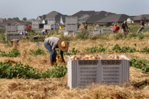 Parkinson’s disease is consistently linked to pesticide exposure,&hellip;