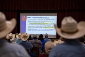 Where is screwworm in Texas?…