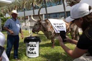Abbott trolls Talarico with tacos and cattle at&hellip;
