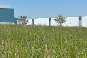 Emails detail how Berks County leaders worked behind the scenes after detention center surprise