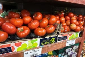 FACT FOCUS: Is inflation a red state vs.&hellip;