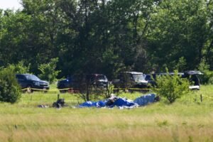 Skydiving plane crash investigations often…
