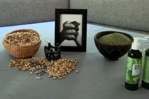 Tar Heel Traveler: Just Neem