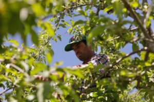 Vermont is the first state to ban paraquat,&hellip;