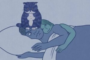 Cat Rules