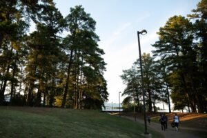 East Texas counties move to…