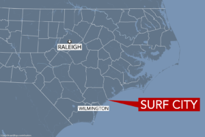 Fleas close part of NC beach
