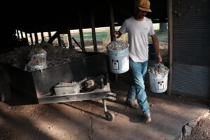 After years of hardship, Texas…