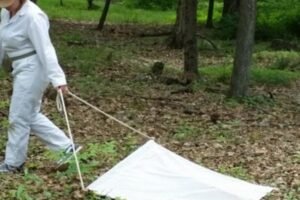 Pennsylvania tick season can hide a second dangerous&hellip;