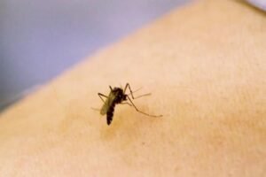 Six human cases prompt West…