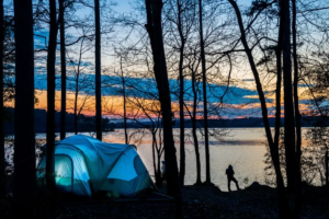 Reclaim your sanity: escape into…